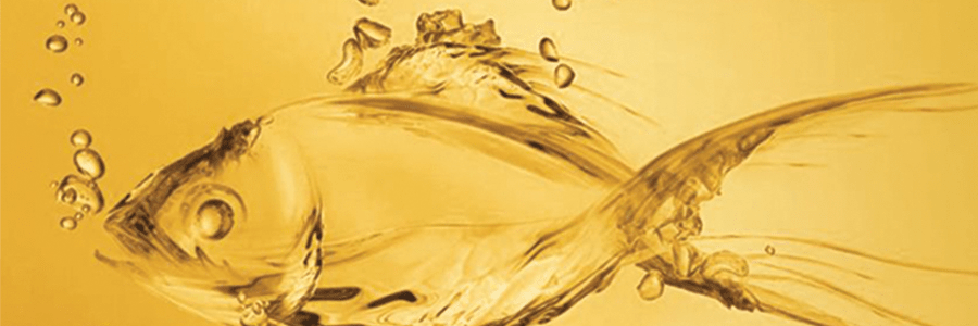 Fish Collagen: The Anti-Aging Protein with the Best Bioavailability